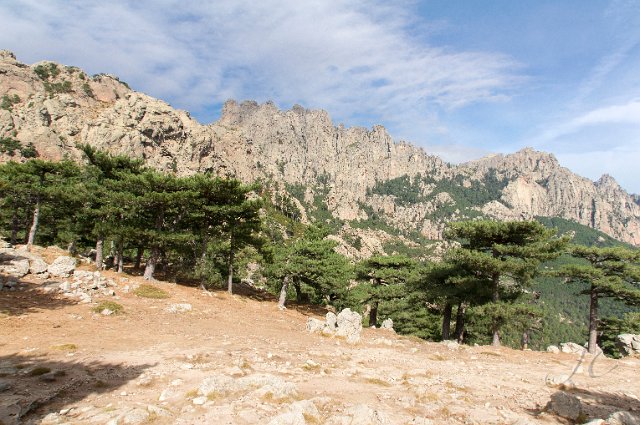 0113 Col de Bavella.jpg - SONY DSC